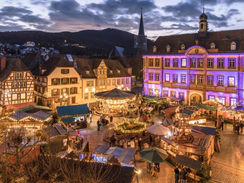 Pfaelzer Herzel Neustadt an der Weinstrasse Bagian luar foto